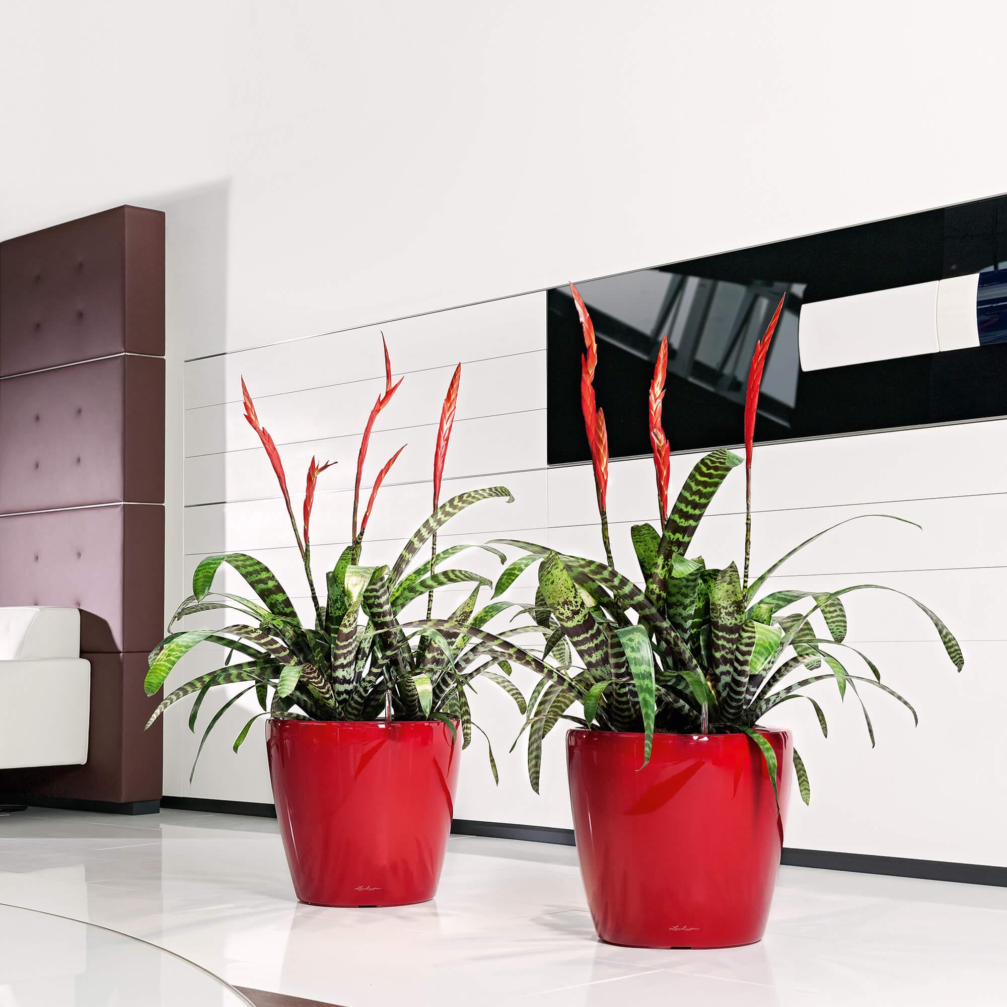 レチューザ クラシコ43 CLASSICO LS 43 black high-gloss